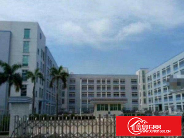 高埗标准厂房一楼750平米出租，带办公室装修