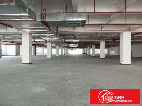 虎门镇原房东4万平方，宿舍15000平带现成装修高端电子厂房