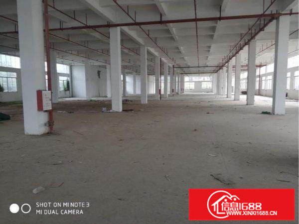 惠州三栋厂房出租，独门独院，成熟数码园区