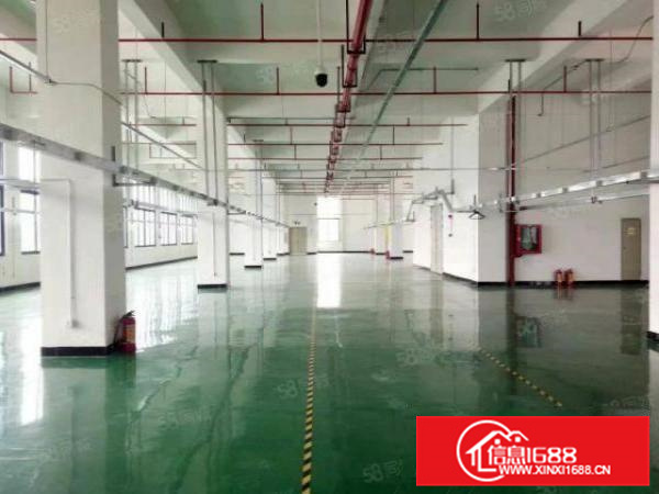 伦教独门独院5800方，不拆迁，可办环评，可分租