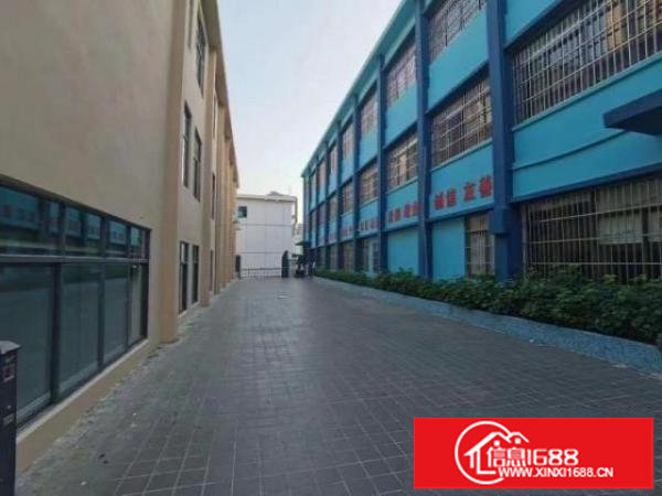 民治红本厂房独门独院毗邻深圳北坂田星河Word