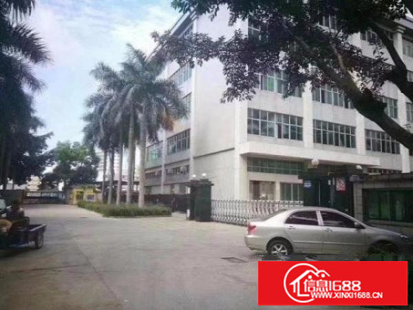 龙岗红本独院总面积12800平方一楼6米高大小分租