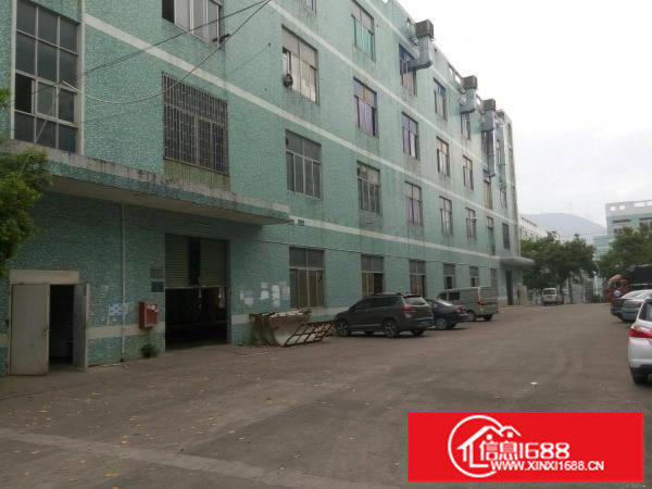 坪山石井老围村工业区一二楼2800平米厂房出租