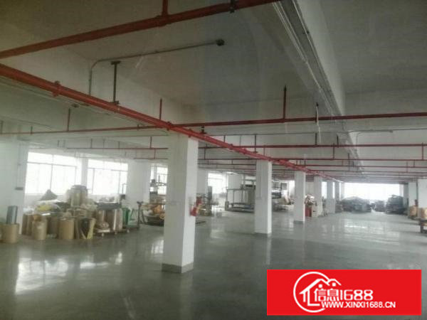 龙岗宝龙原房东花园式一楼1350平米厂房出租，无公摊