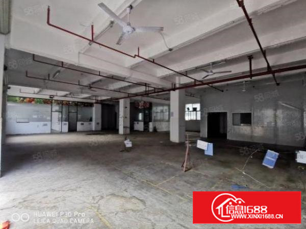 沙井新桥107国道黄埔上星德普电子城1楼600平水电办公室齐