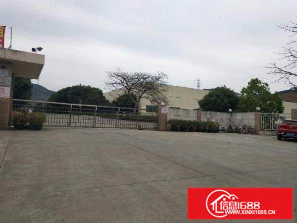 凤岗10米高钢构3万多方火爆招租