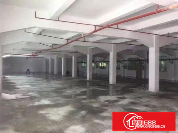 桥头镇新出原房东一楼1000平空地大交通方便适合各种行业