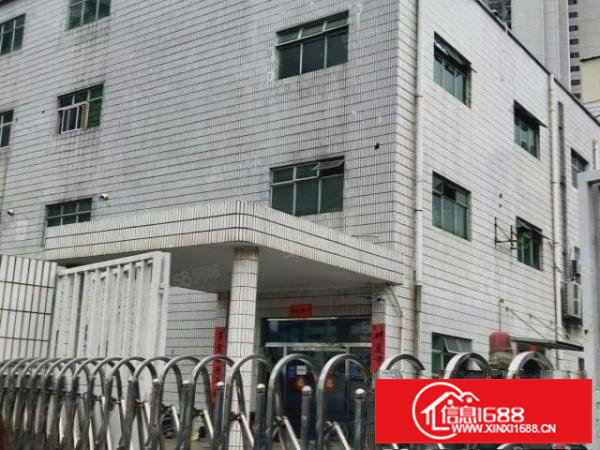 松岗宝安大道松福大道旁带豪华装修重工业厂房2500平可分组