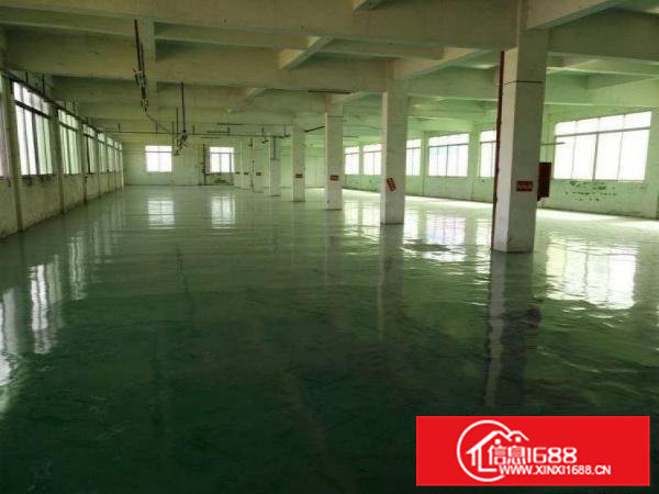 谢坑工业区附近8000平方独门独院标准厂房可分租