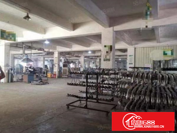 新出顺德区杏坛镇五靓盘招租