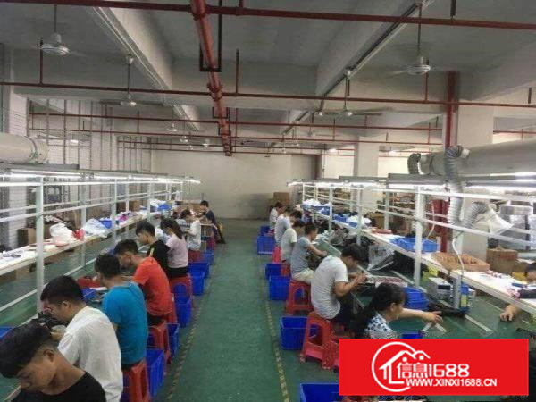 凤岗官井头带豪华装修厂房三楼1200平米出租