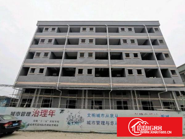 独院带红本厂房出租交通便利形象好