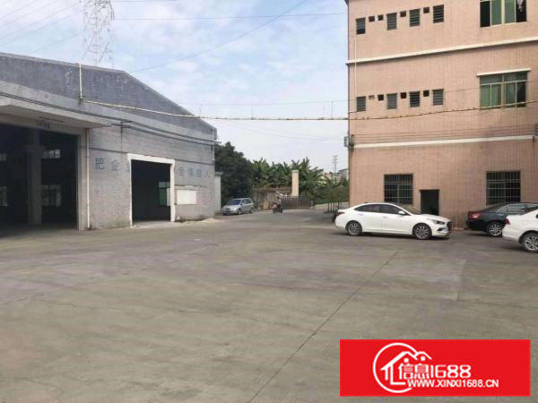 出租桥头镇新空出单一层800平方