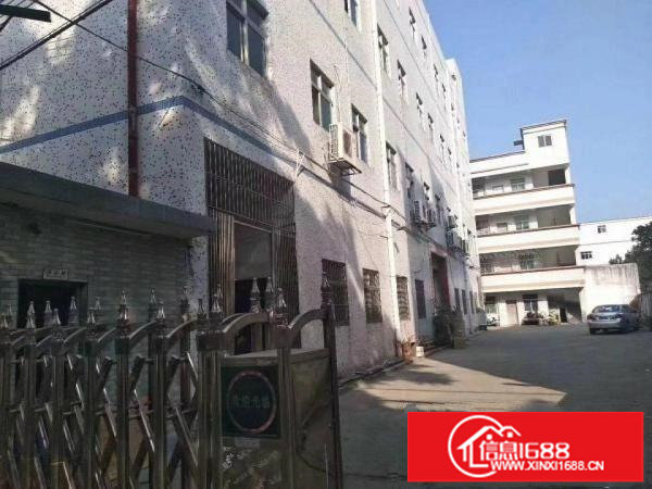 南联爱南路独院厂房4600平米出租