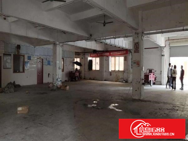 虎门龙眼一楼800平招租70平方主线到车间可办环评