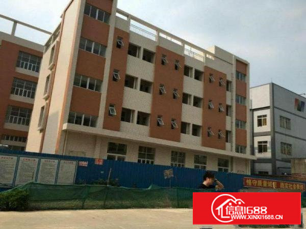 塘厦龙背岭标准一楼厂房500平方高度5米可装行车