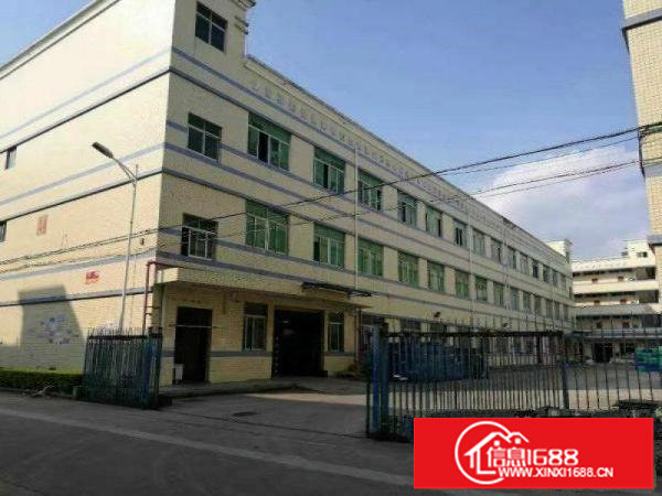 横岗安良三楼690平米仓库出租，5吨大电梯