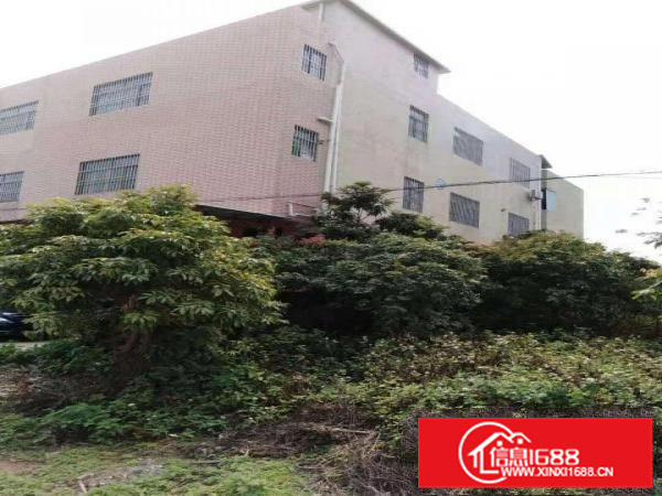 淡水古屋独栋三层1500平方出租