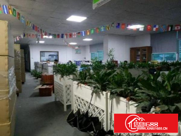 西乡九围或簕竹角带装修厂房1500平米出租