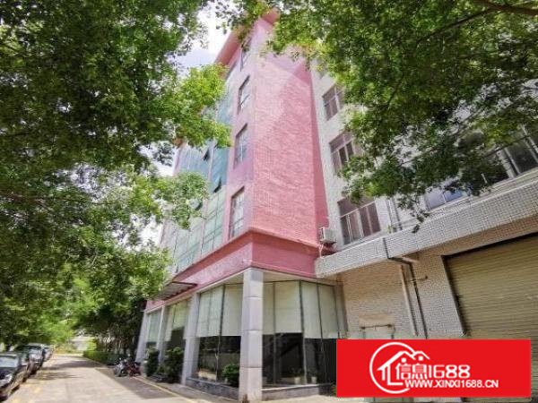 坪山大工业区厂房出租，大小可分租，手续齐全原房东