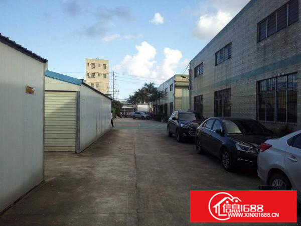 秋长原房东独院钢构2700平方滴水7米带消防喷淋