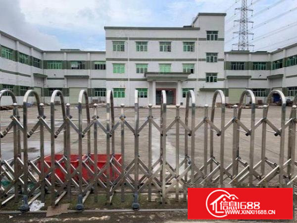 清溪三中原房东一楼2百平5百平8百平1千平仓库厂房出租可分租