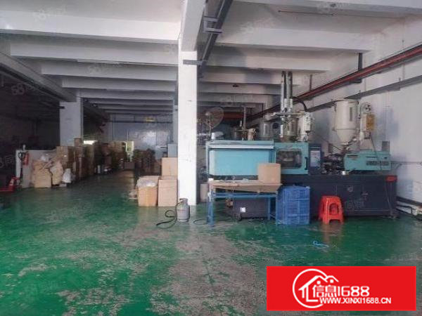 19元起租清溪浮岗一楼600平5米高精装修