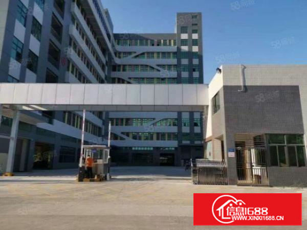 寮步镇松山湖旁全新重工业厂房出租一楼二楼各5200平方