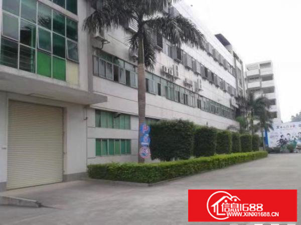 出租布吉丹竹头二楼厂房1500平方，带精装修