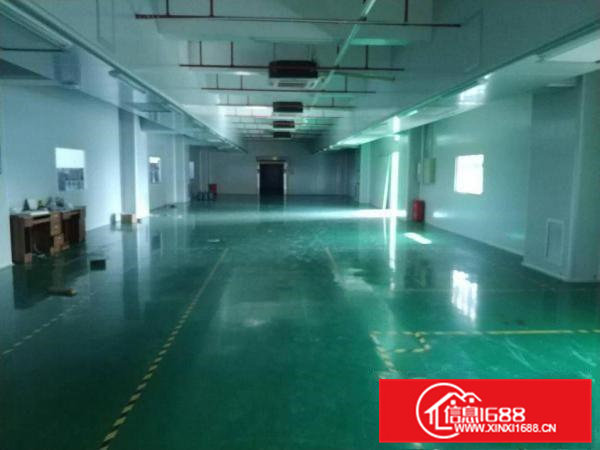 凤岗近深圳楼上电子数据线厂房出租3300平精装修办公室