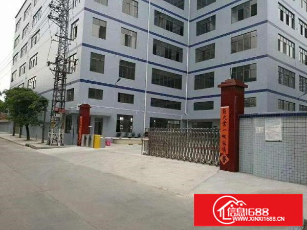 精免转常平塘角鸿远科技远新出1200平精装修出租