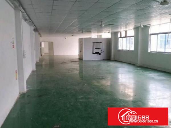 独院分租整层580方