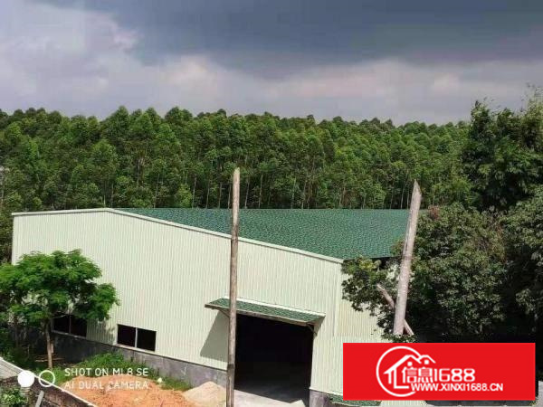 龙溪街道独门独院全新单一层滴水8.5米高3800平方厂房出租