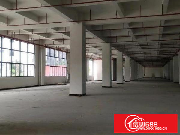 桥头新出形象好，独院厂房