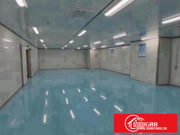 精装修整层1300平方