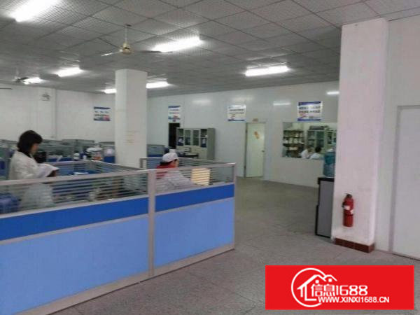 清溪罗马新出标准一楼2260平方可分租