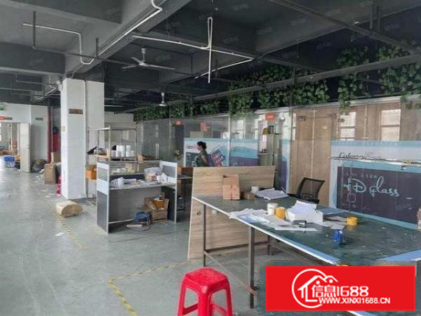 石排谷吓楼上850平厂房出租水电齐全带办公