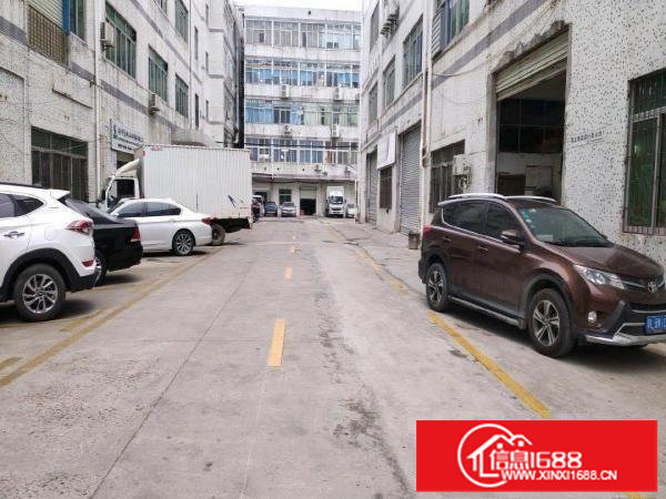 出租龙岗区横岗龙岗大道边上精装修楼上740平村委厂房