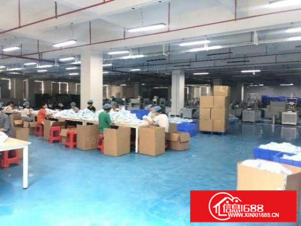 虎门威远独门独院花园式厂房20000平宿舍7000平出租