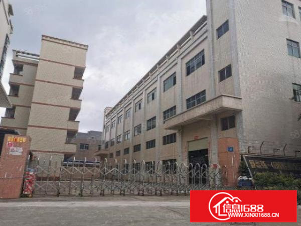 清溪三中新出原房东独院5800平方低价急租