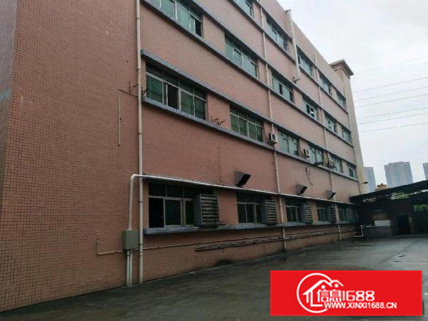 清溪厂房1000平米，可做小污染