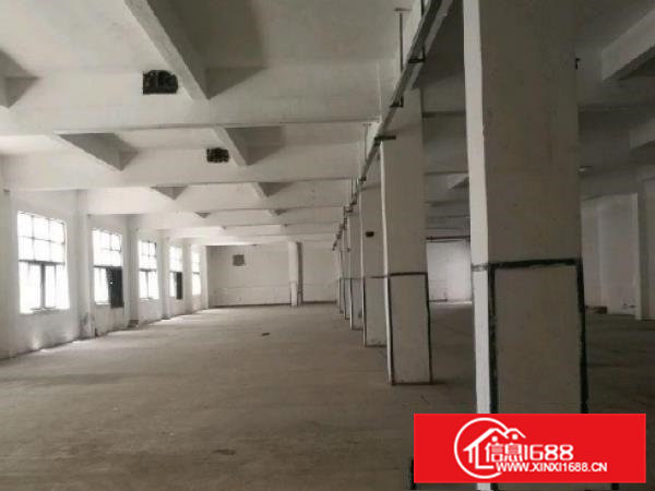 凤岗凤德岭一楼1500平方出租