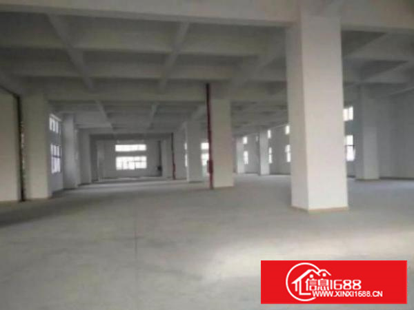 万江带现成装修标准一楼600或800平方招租地板漆车间，