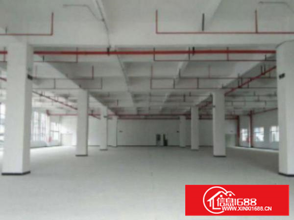 万江上甲工业区新出原房东独门独院单一层700平方