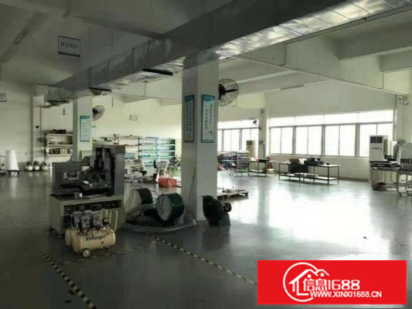 宝龙新出原房东楼上1630平米带精装修厂房