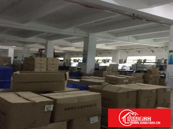 观澜观光路章阁厂房原无公摊1楼标准厂房1200平米