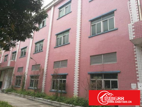 L龙岗龙西花园式原房东厂房2100平方可分租