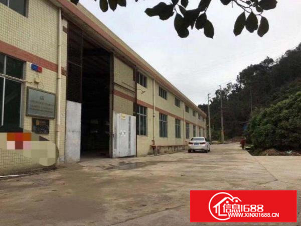 上元独院单一层1800平，可整可分300平方带行车带装修