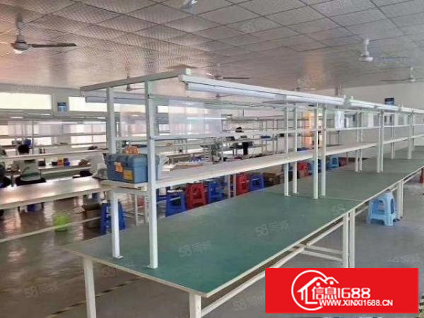 松岗107国道边上1500平独院出租可分租原房东无公摊