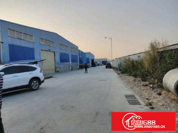 平湖鹅公岭工业区超高层钢构厂房7000平方可分租